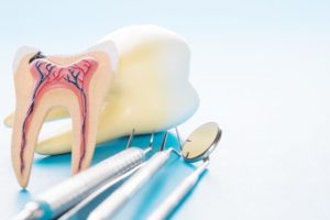 Root canal model and various dental tools